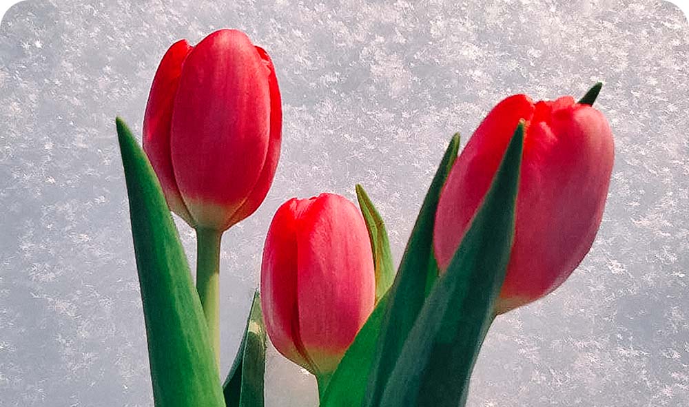 Что изменится с марта.jpg