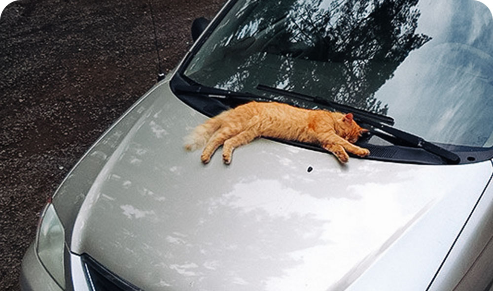 Нарушители парковки во дворе. Как бороться..jpg