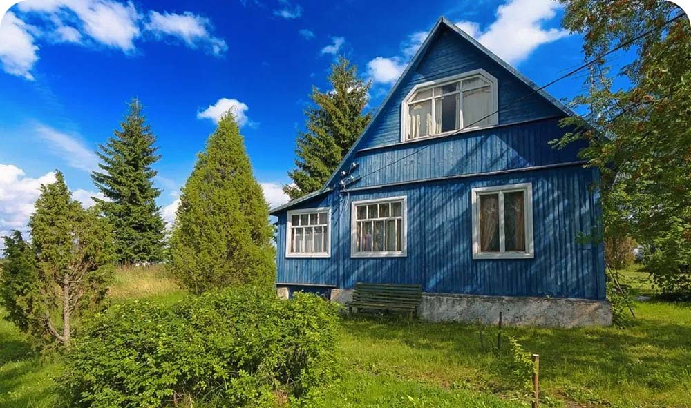 Можно ли спилить дерево на своем собственном участке.jpg