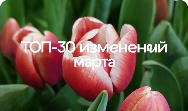 Топ-30 изменения марта 2025.jpg